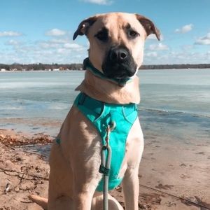 Meet your Posher, Elly